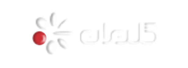 لوگو افکت سه‌بعدی نداشته باشد