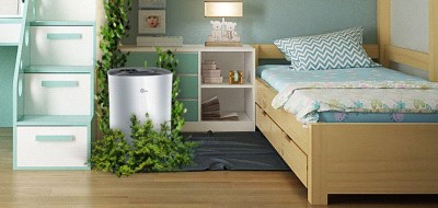 آیا دستگاه تصفیه هوا جی‌پلاس می‌تواند حساسیت فصلی را از بین ببرد؟